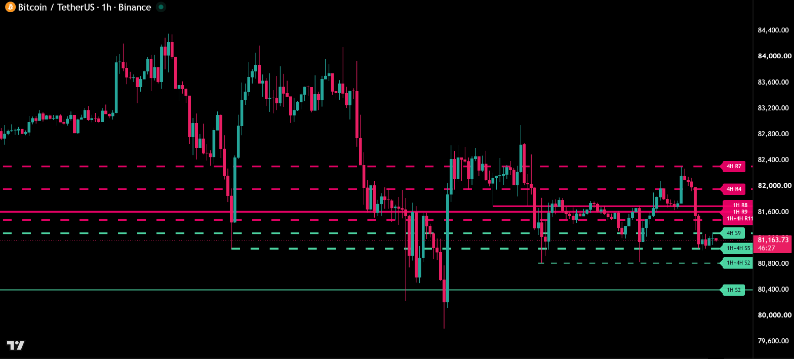 Intelligent S&R Lines on Bitcoin (BTCUSDT), 1 hour